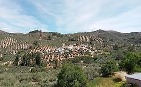 El Almendro De La Tia Teresa